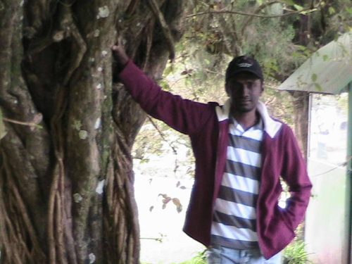 I am looking female life partner for my marrege. she must be inteligent.